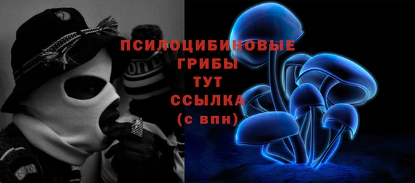 первитин Верея